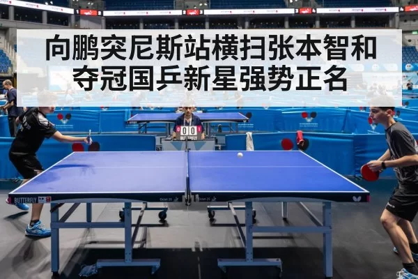 向鹏突尼斯站横扫张本智和夺冠国乒新星强势正名